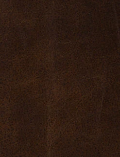 Trysta Bar And Counter Stool -Hearth & Home Store 105861 019 DET 2