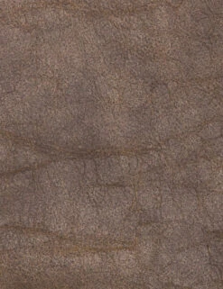 Trysta Bar And Counter Stool -Hearth & Home Store 105861 021 DET 2