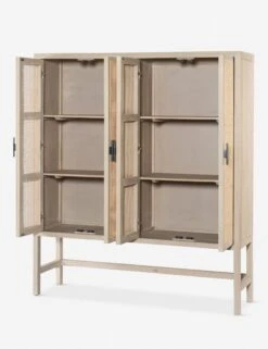 Hannah Cabinet -Hearth & Home Store 108910 001 opn 1 1cdab0d6 eeaa 4ffa 8411 45f493661847