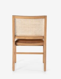 Archie Dining Chair -Hearth & Home Store 224376 001 bck 1