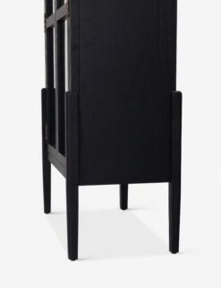 Apolline Curio Cabinet 26 Apolline Curio Cabinet -Hearth & Home Store 225878 001 det 8 62017301 69a4 4b63 94a5 3662418a55ac