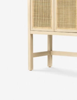 Hannah Narrow Cabinet -Hearth & Home Store 225960 002 DET 5