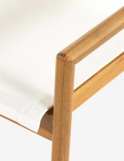 Charise Indoor / Outdoor Dining Chair -Hearth & Home Store 226828 001 DET 1