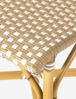 Monet Indoor / Outdoor Dining Chair -Hearth & Home Store 226843 001 DET 3