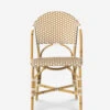 Monet Indoor / Outdoor Dining Chair -Hearth & Home Store 226843 001 FRT 1