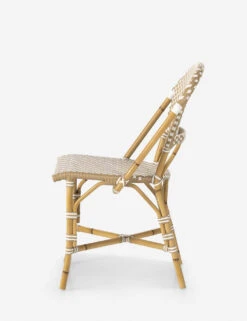 Monet Indoor / Outdoor Dining Chair -Hearth & Home Store 226843 001 SID 1