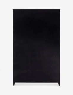 Wilcox Curio Cabinet -Hearth & Home Store 228291 001 BCK 1