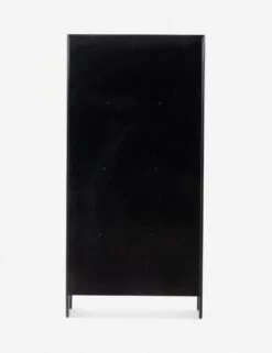 Mathus Curio Cabinet -Hearth & Home Store 229265 001 BCK 1