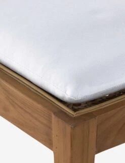 Jaz Indoor / Outdoor Dining Chair -Hearth & Home Store 230309 001 DET 5 SITECROP