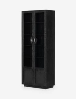 Delano Curio Cabinet -Hearth & Home Store 233571 001 PRM 1
