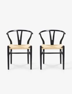 Cylia Dining Chair (Set Of 2) -Hearth & Home Store Cylia1black