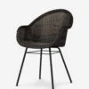 Briggs Indoor/Outdoor Dining Chair